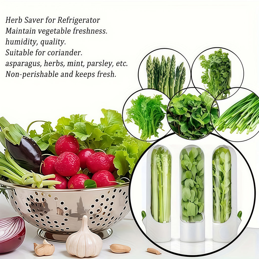 Modern 3pcs Adjustable Home Storage Rack – durable multi-purpose storage, 3pcs White Visible Vegetable Storage Containers with Lids Suitable for Onion Garlic Herbs Root, designed for American homes, daily convenience and practical gifting