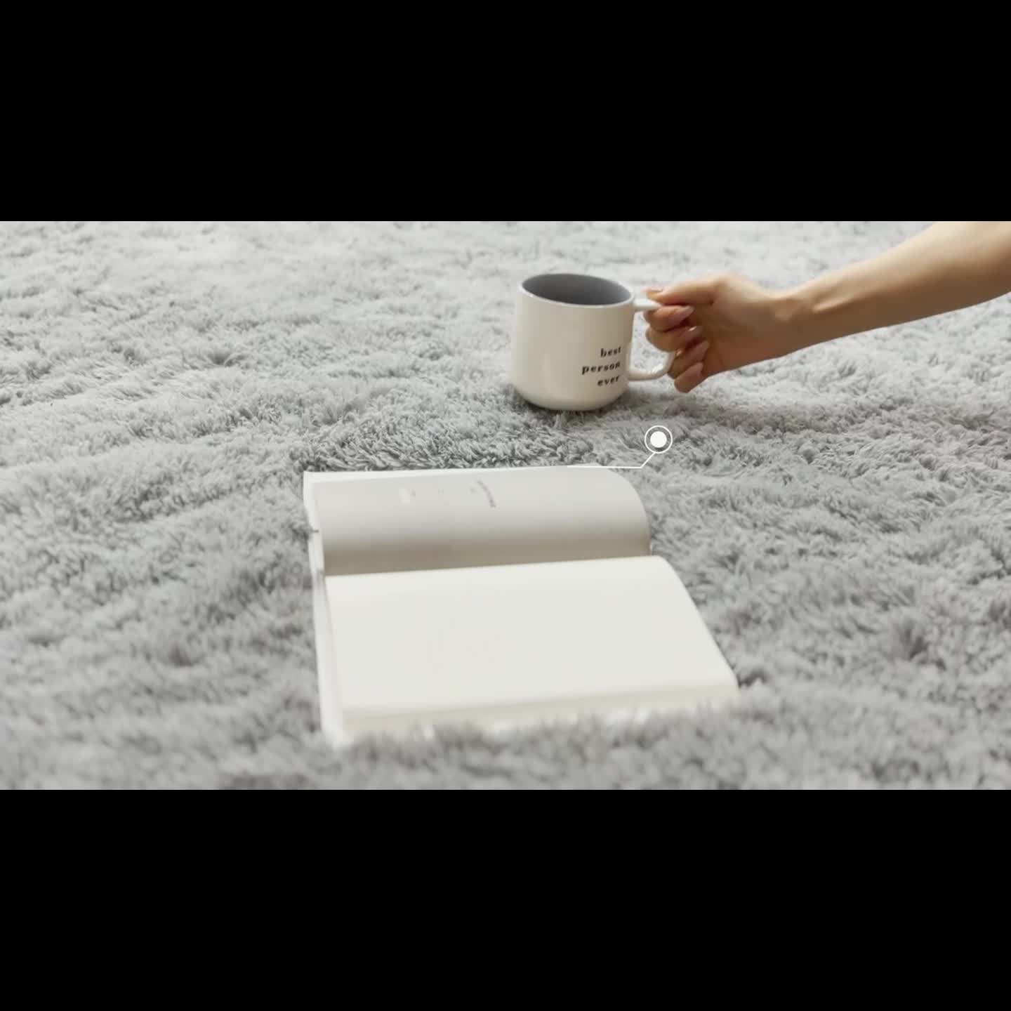 Soft Area Rug – Ultra-Soft Shaggy Carpet Rug Suitable for - Plush High-Pile Floor Rug with Dense Furry Texture, Machine-Washable Cozy Bedspread for Living Room, Bedroom, Dorm - Use for Moder