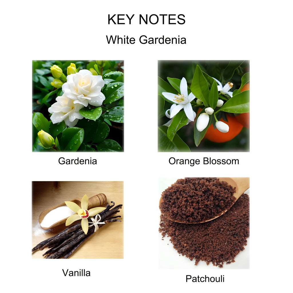 KBHOMFRA Reed Diffuser Jasmine Cedar Gardenia Scent Fall Diffusers with Dried Flowers Diffuser Sticks 4.06oz Essential Oil 90 Days Long-lasting Fragrance for Livingroom, Bedroom And Bathroom.